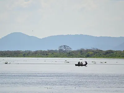 Rio Paraguai sobe mais de dois metros em MS, mas níveis seguem abaixo do normal