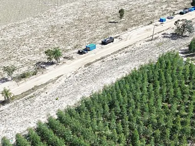 Tensão em Ribas do Rio Pardo leva empresa e sindicato a embate judicial