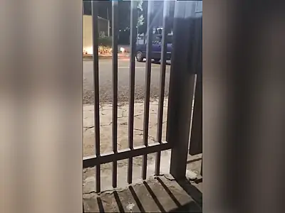 Motorista é flagrada dirigindo em direção a cães soltos em bairro de Campo Grande