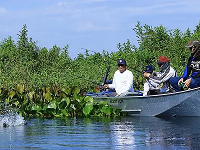 Fim da Piracema em Mato Grosso do Sul: pesca é liberada em rios do Estado