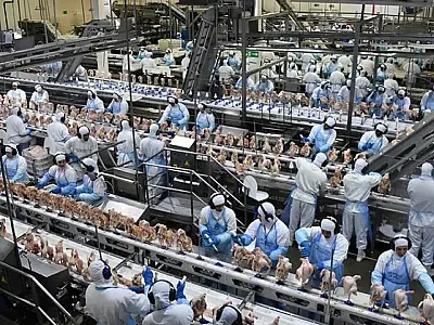 China intensifica inspeções em frigoríficos de MS visando expansão das exportações de carne bovina