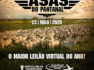 Mato Grosso do Sul terá neste sábado (23) o maior leilão virtual do ano, com 9 mil animais
