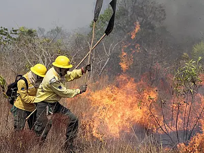 DECISÃO DO STF DETERMINA QUE IMÓVEIS OBJETO DE INCÊNDIO E DESMATAMENTO ILEGAL NO PANTANAL SEJAM DESAPROPRIADOS: Decisão deve preocupar o setor do agro
