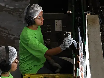 Mato Grosso do Sul abre 4.786 vagas de emprego em 35 municípios nesta semana