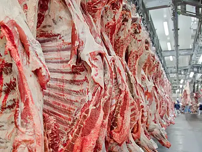 Indonésia autoriza 17 frigoríficos do Brasil a exportar carne bovina