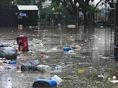 Após a cheia histórica no RS, moradores lidam com animais mortos, esgoto e mau cheiro