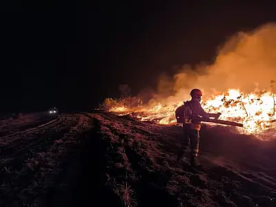 Fogo avança no Pantanal e mobiliza brigadistas na fronteira entre MS e MT