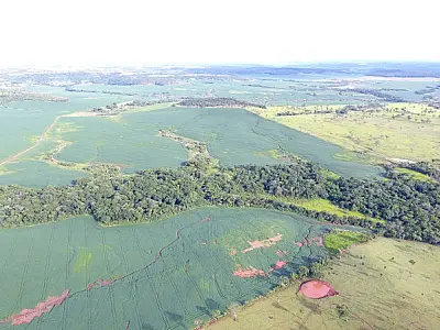 Mato Grosso do Sul registra redução no desmatamento em 2022, aponta relatório do MapBiomas Alerta
