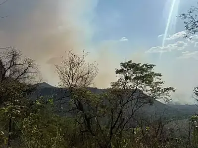 Queimadas no Norte comprometem qualidade do ar em Campo Grande