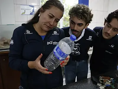 Mais de 93% dos peixes vendidos têm microplástico