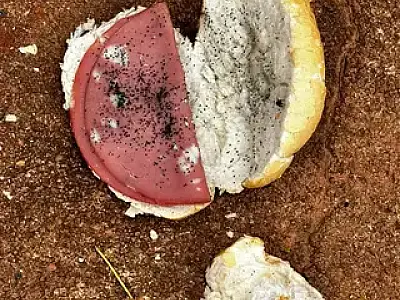 Jovem de 22 anos morre após ingestão de pão envenenado em MS