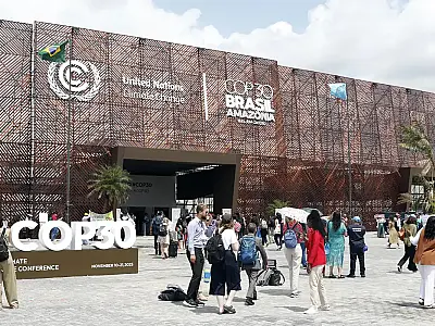 Tribunal dos Povos condena Estados e empresas por ecogenocídio