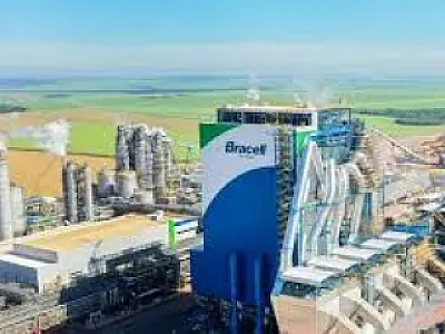 MS se prepara para nova megafábrica de celulose com aporte de R$ 24 bilhões