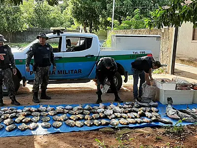 Operação Hoé: Apreensão de 716 kg de pescados irregulares em Aquidauana gera multas de R$ 66,5 mil