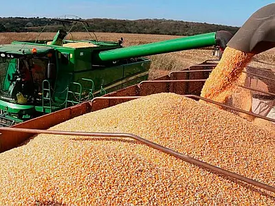 Porto de Murtinho registra aumento expressivo nas exportações de grãos, alcançando US$ 445 milhões