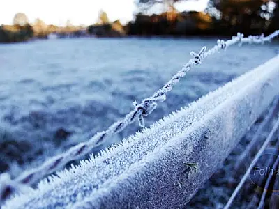 Frio intenso atinge Mato Grosso do Sul com mínima de 0,1 grau e causa prejuízos à agropecuária