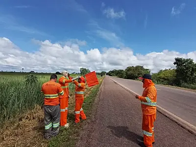 PMA intensifica ações para evitar atropelamento de animais na principal rodovia do Pantanal