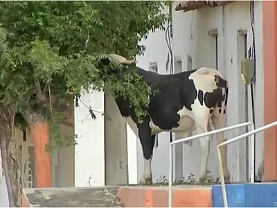 Facções criminosas transformam vilarejo  em "cidade fantasma"