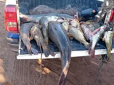Operação Piracema em MS: mais de 900 quilos de pescado apreendidos e $ 134 mil em multas aplicadas
