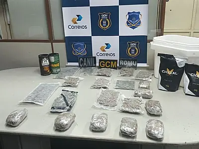 Correios interceptam encomenda com drogas e medicamentos irregulares em Campo Grande