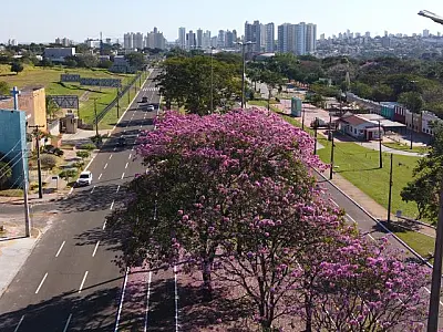 Tempo quente e seco em Mato Grosso do Sul nesta terça-feira
