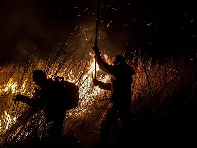 Recursos de até R$ 500 mil serão destinados a projetos de prevenção a incêndios no Pantanal