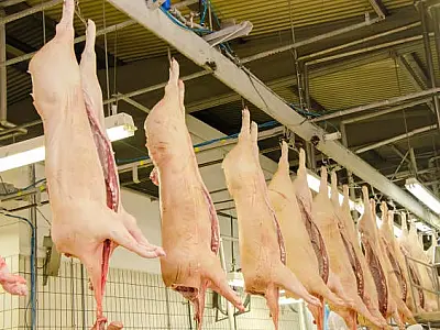 Brasil amplia mercado de exportação de carne bovina e suína para Cingapura