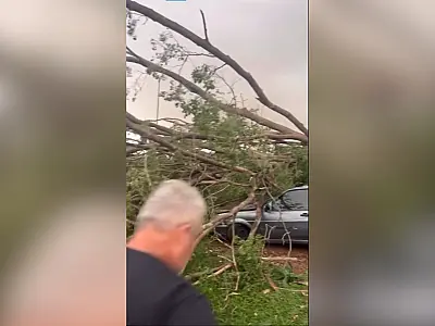 Tempestade rápida causa estragos em vários pontos de Campo Grande; avenidas e ruas registram quedas