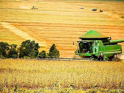 Dívidas excedem os R$ 500 milhões entre produtores rurais de Mato Grosso do Sul
