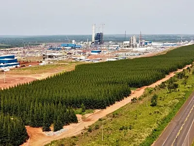 Mato Grosso do Sul aposta na COP30 para atrair recursos internacionais ao agronegócio