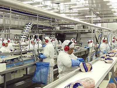 Campo Grande exporta quase US$ 370 milhões e quebra recorde histórico