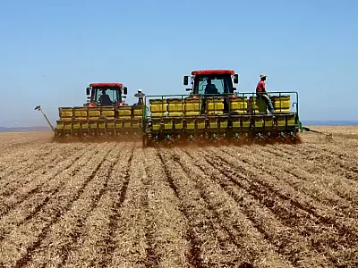 Condições adversas colocam em risco produtividade da safra de soja em Mato Grosso do Sul