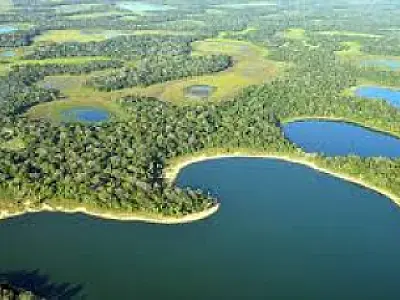 Pantanal de Mato  Grosso do Sul agora é patrimônio nacional