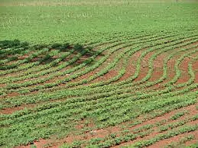 Ministro da Agricultura anuncia nova linha de crédito para impulsionar o desenvolvimento rural