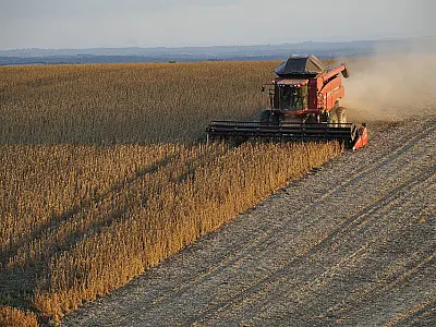 19º Simpósio da Soja: discutindo desafios e soluções para a safra 2022/23 em Mato Grosso do Sul