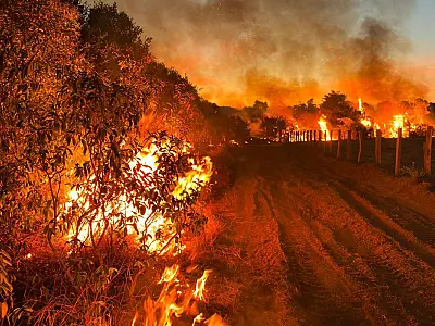 127 fazendas em alerta: Estudo aponta risco de incêndio no Pantanal