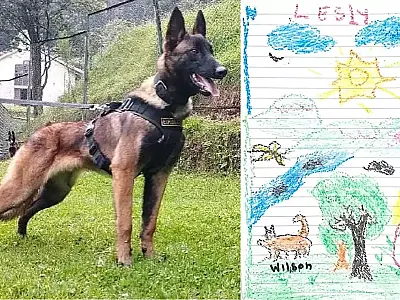 Cão Wilson continua desaparecido e é lembrado por crianças resgatadas