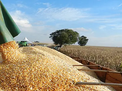 MS alcança marca histórica com produção excedendo 14 milhões de toneladas na 2ª safra