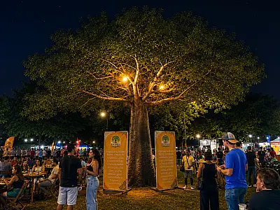 Feira do Baobá celebra um ano reunindo cultura, negócios e comunidade