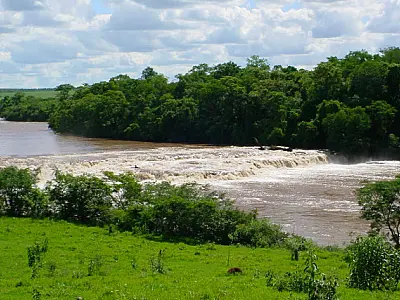 MPMS investiga desmatamento ilegal em áreas protegidas da Mata Atlântica
