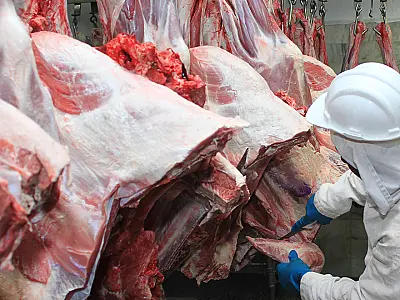 Mato Grosso do Sul amplia 5 vezes a capacidade de exportação de carne para a China