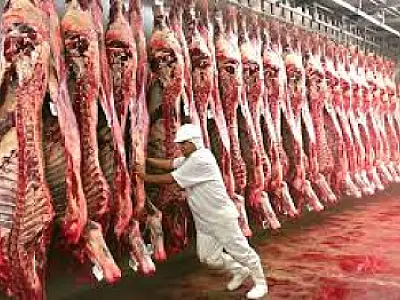 Frigoríficos de Mato Grosso do Sul seguem sem restrições na exportação de carne para a China