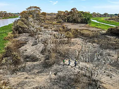 Presidente do Ibama alerta para perdas irreversíveis no Pantanal devido às queimadas