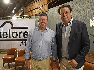 Associação Sul-Mato-Grossense dos Criadores de Nelore tem novo presidente