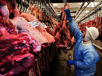 China amplia parcerias com o Brasil: 28 frigoríficos sob avaliação para exportação de carnes
