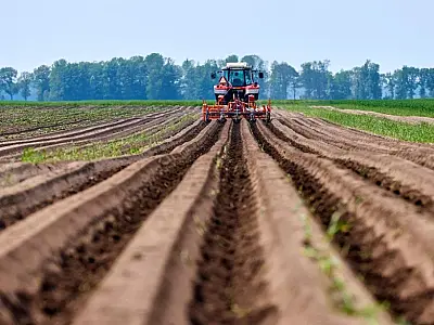 Agronegócio brasileiro registra queda de 5,3% nas exportações em janeiro