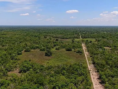 Produtores do Pantanal serão remunerados por preservação ambiental com fundo de R$ 40 milhões