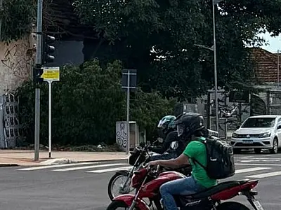 Árvore caída há 90 dias dificulta travessia e prejudica comércio na região central