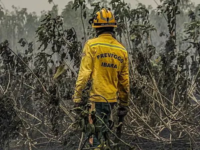 Chuva alivia queimadas no Pantanal e reduz temperaturas