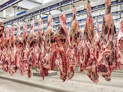 MS recupera fôlego no mercado dos EUA, mas incertezas com a China pressionam setor da carne